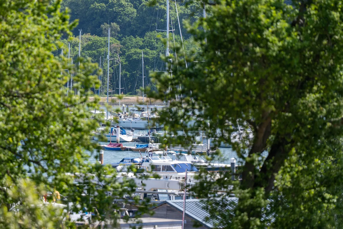 Masts and moored boats on the River Hamble, framed by trees